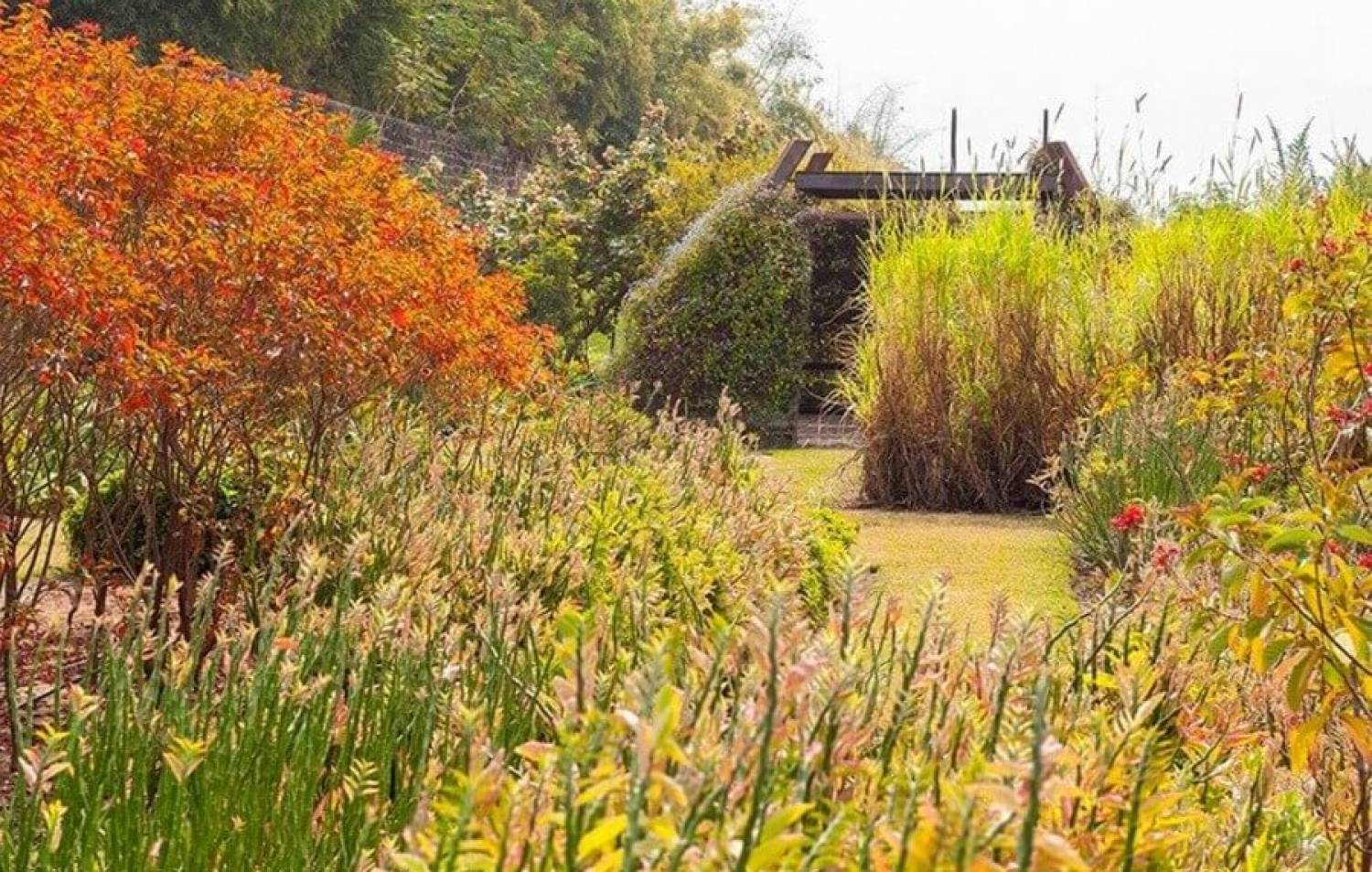 Planting design