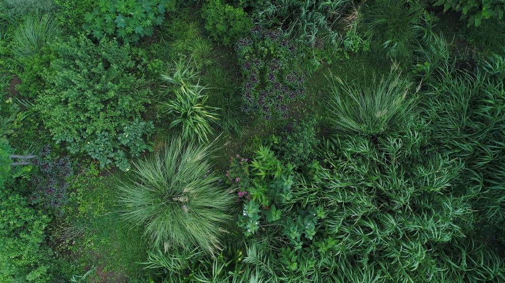 LEAF FELLOWSHIP