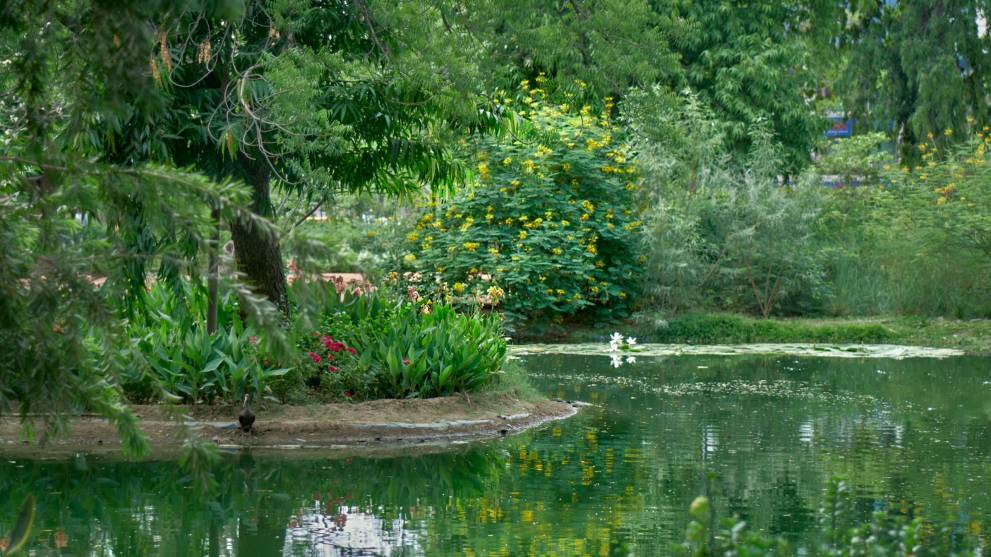 PARIMAL GARDEN