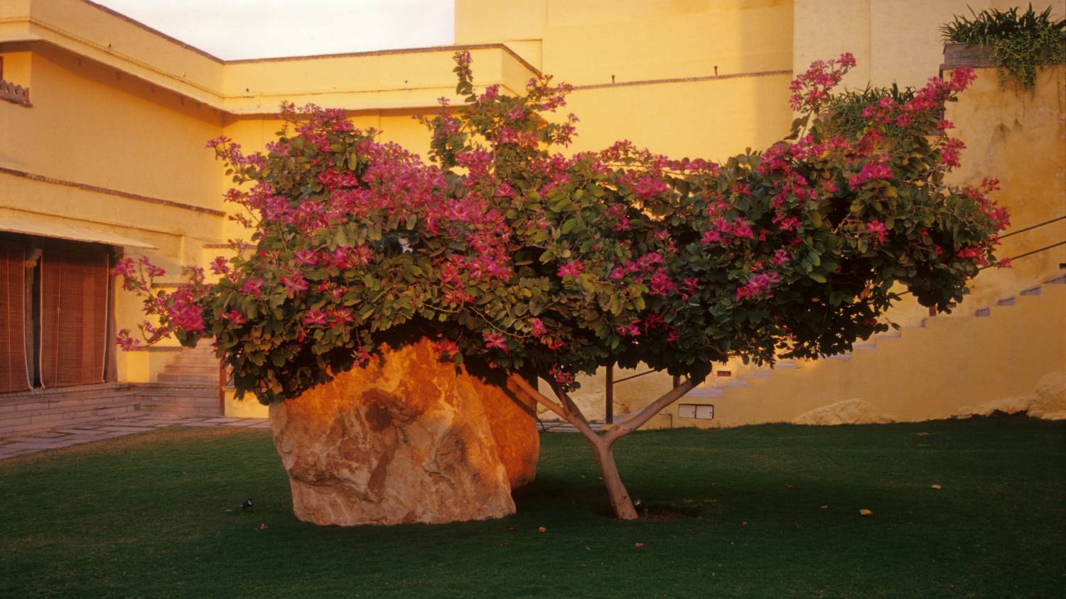 DEVIGARH