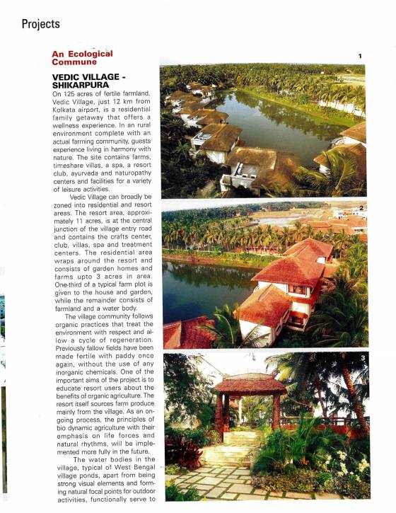 Media 31