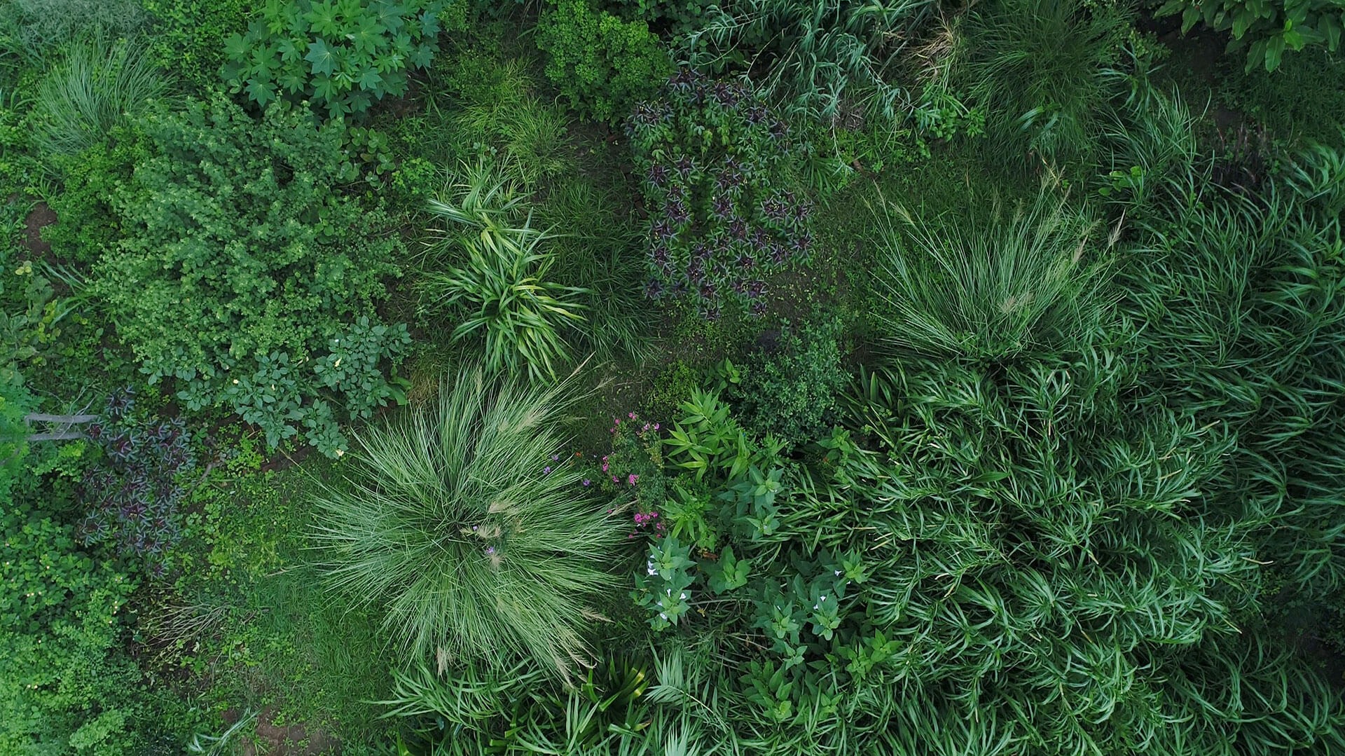 LEAF FELLOWSHIP