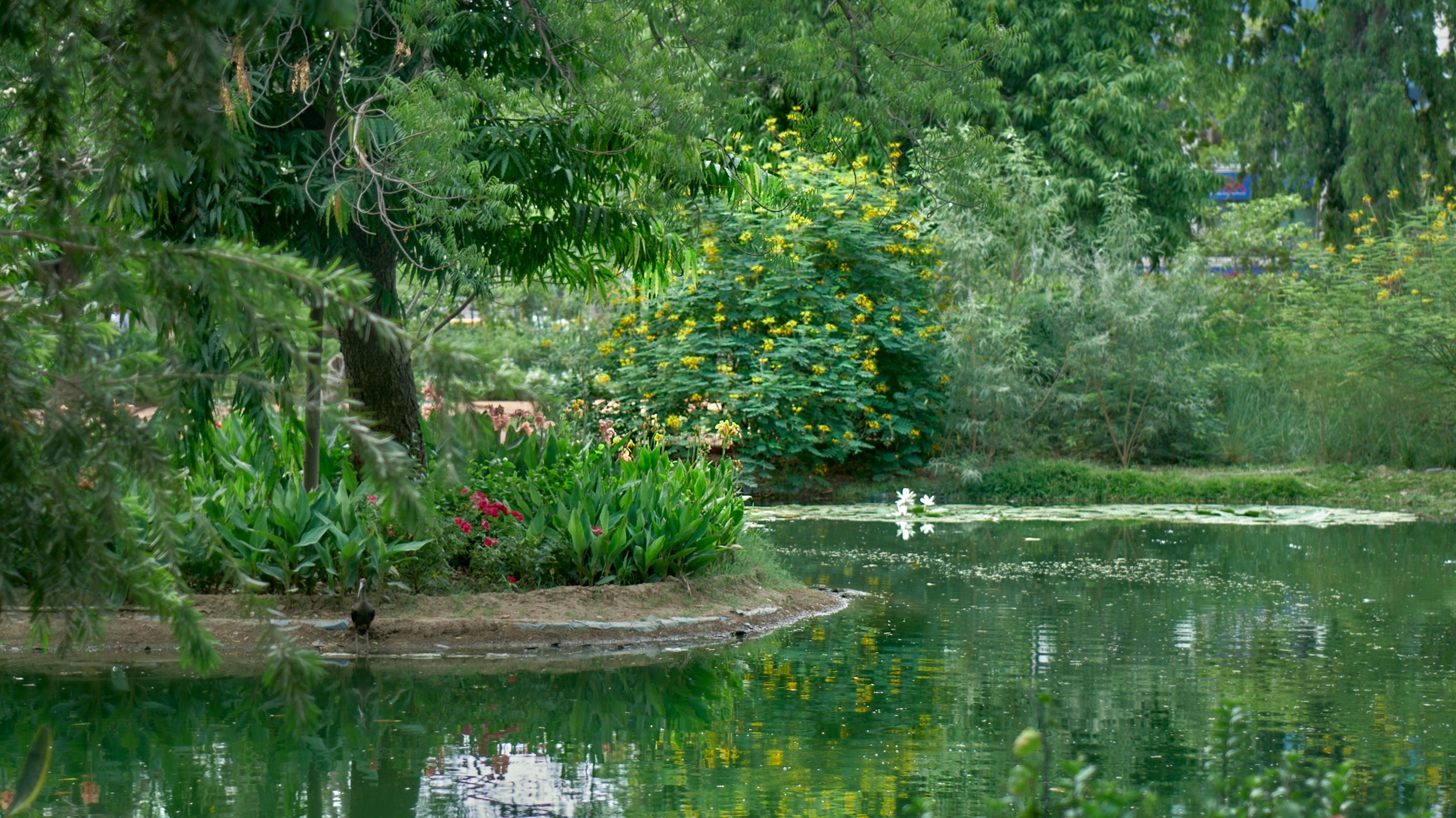PARIMAL GARDEN