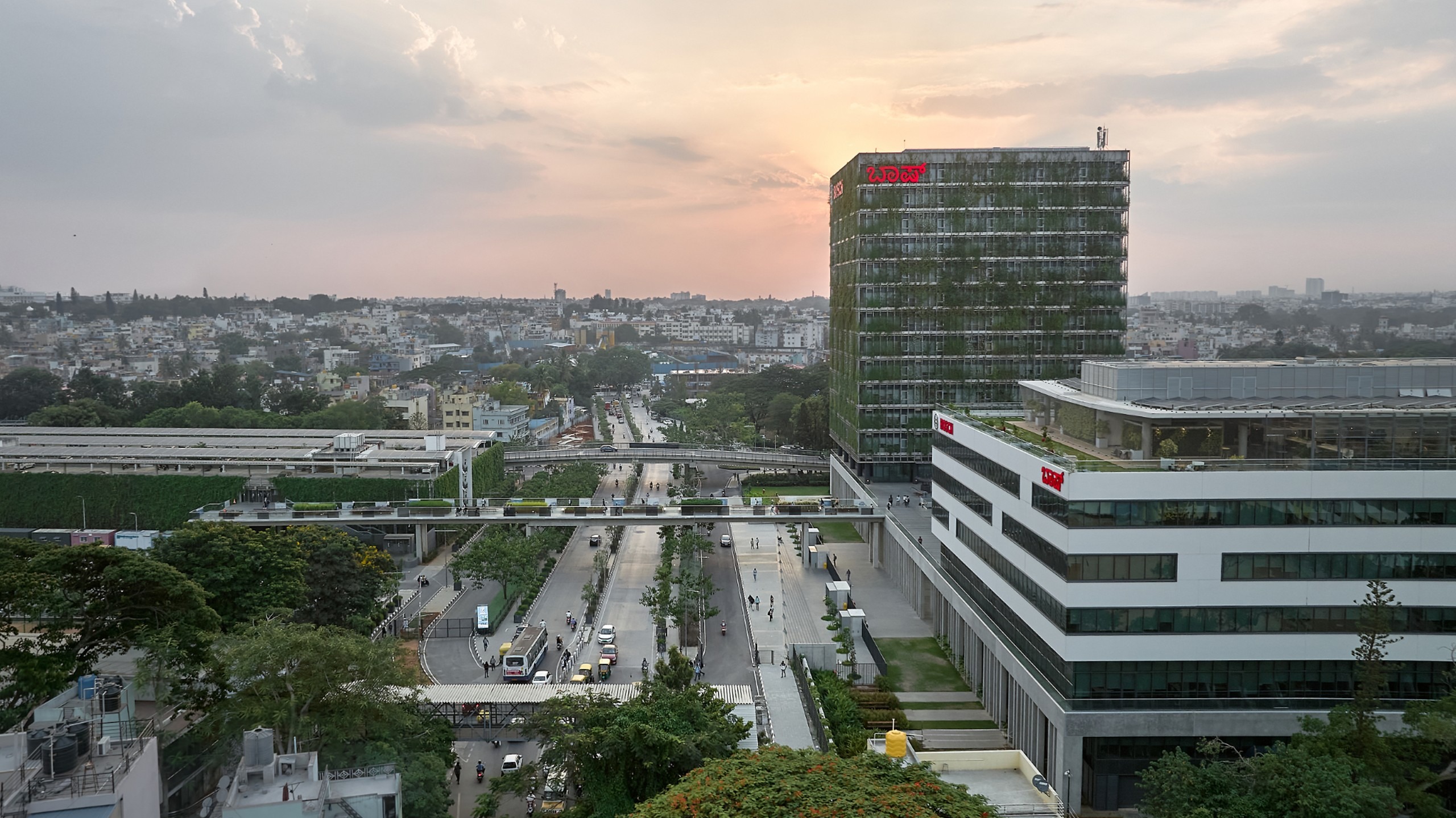 A Campus In The Garden City