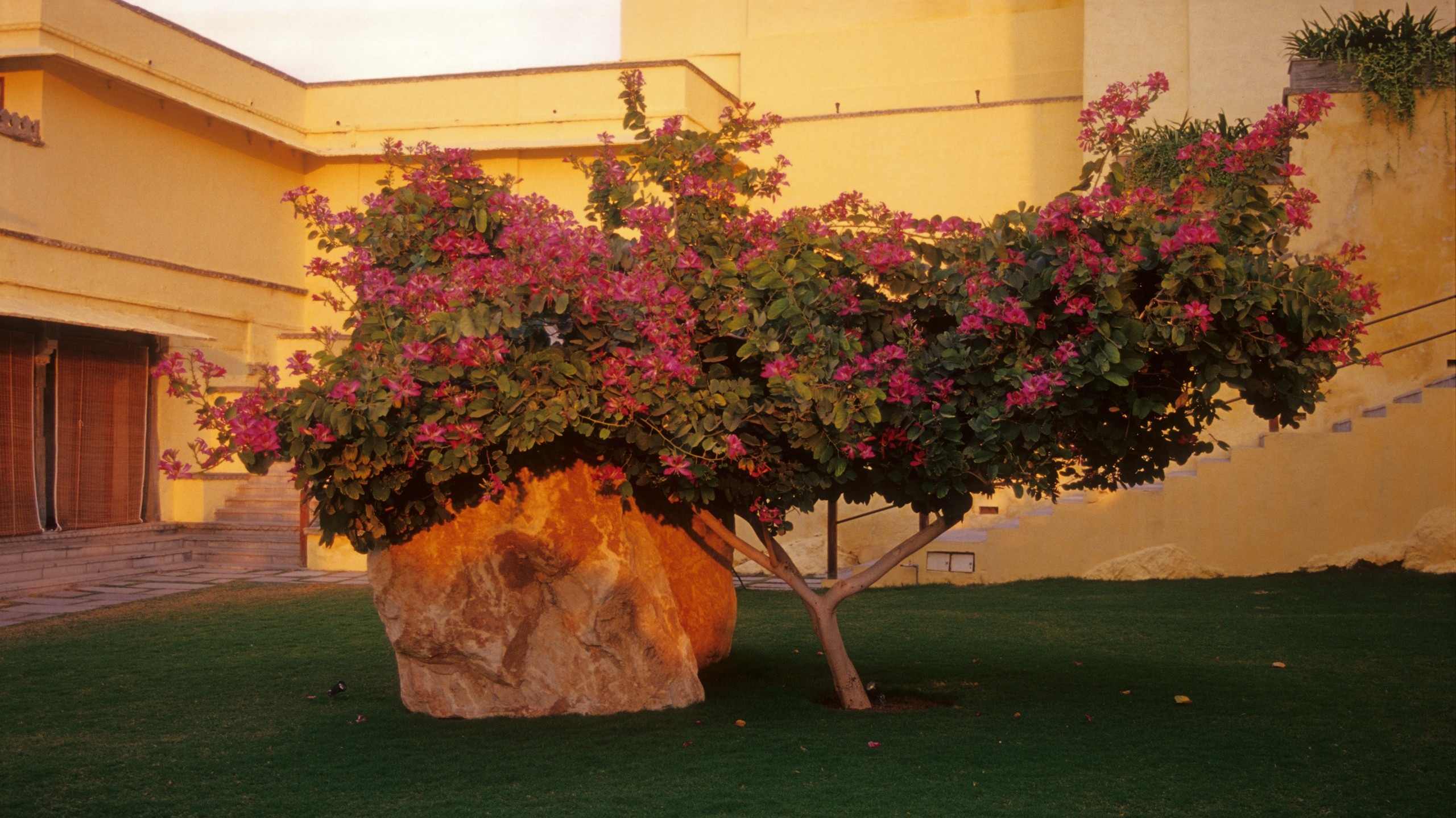 DEVIGARH
