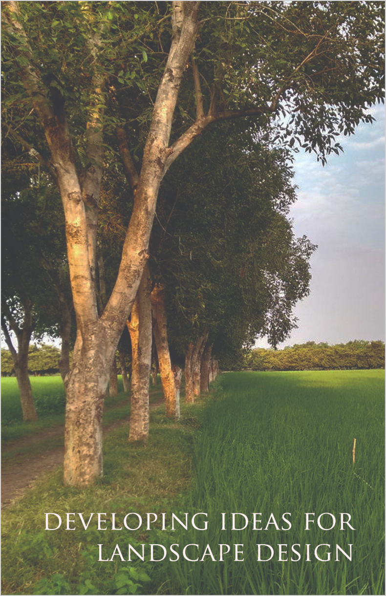 Developing ideas for landscape design
