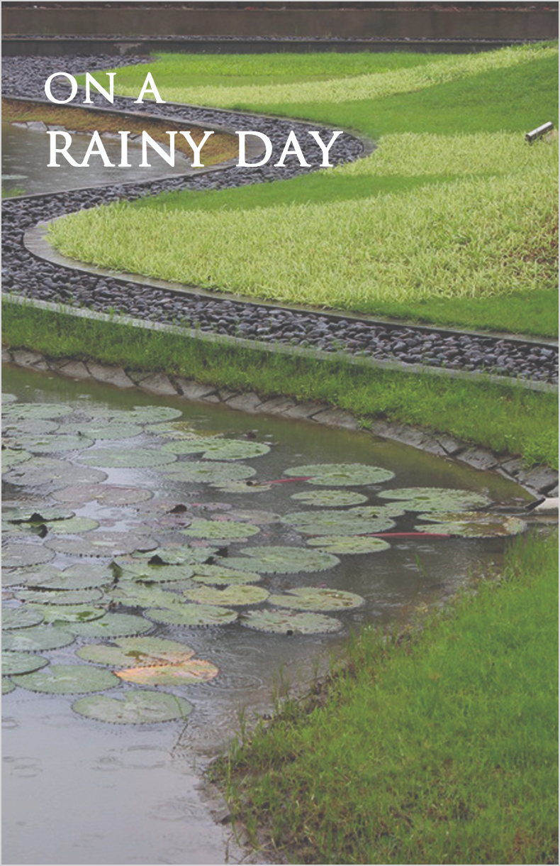 On a rainy day.
