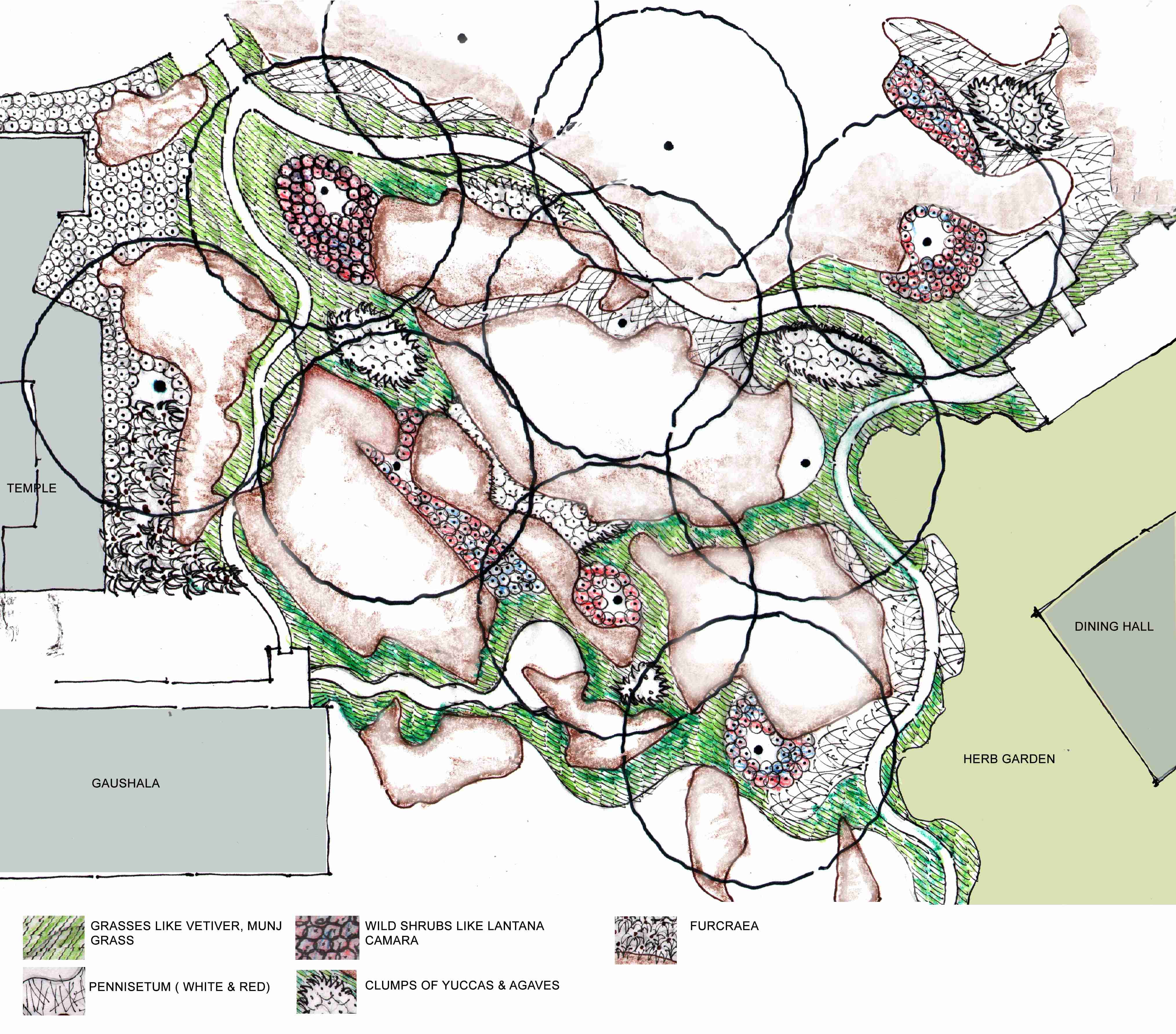 Planting _Central plaza