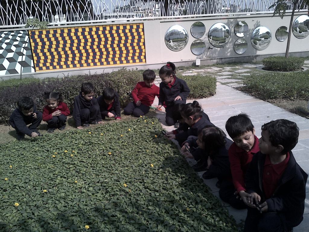 IMG-20131111-00512