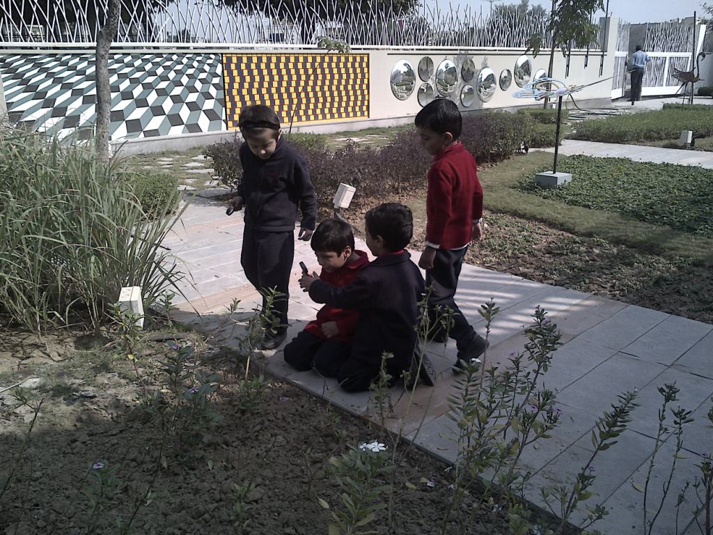 IMG-20131111-00513