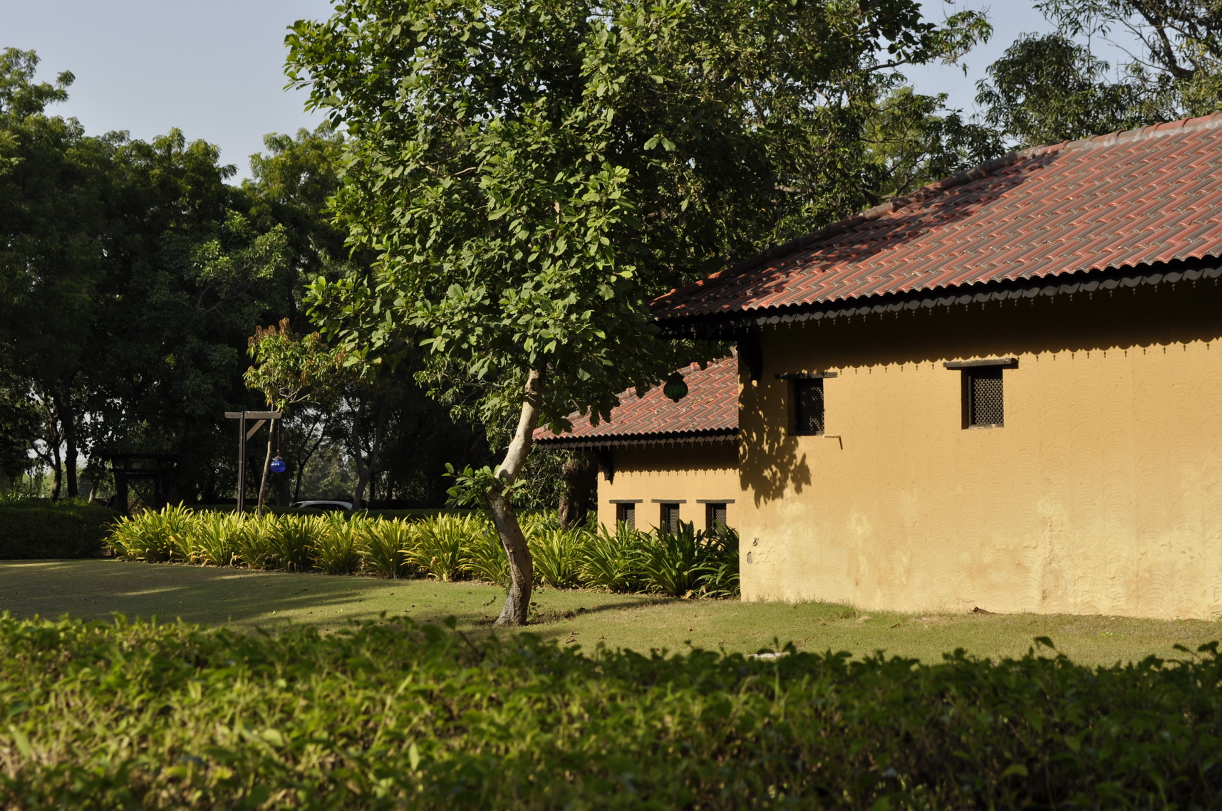 _DSC0142_resize